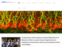 Tablet Screenshot of neurobio.ucla.edu