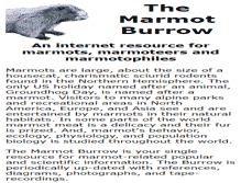 Tablet Screenshot of marmotburrow.ucla.edu